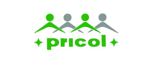 Pricol Limited participated in Global Suppliers Conference 2015 in Japan